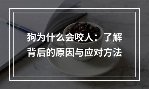 狗为什么会咬人：了解背后的原因与应对方法