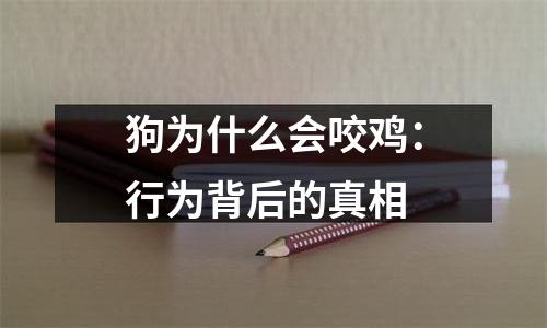 狗为什么会咬鸡：行为背后的真相