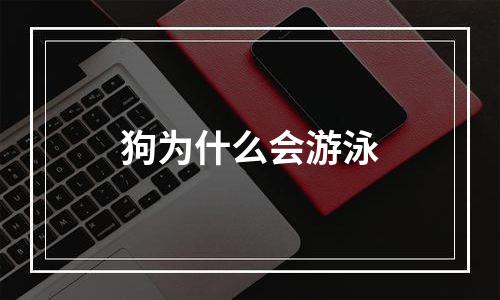 狗为什么会游泳