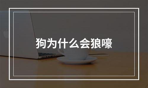 狗为什么会狼嚎
