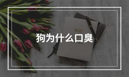 狗为什么口臭