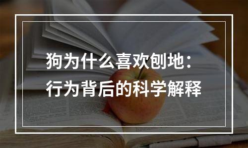 狗为什么喜欢刨地：行为背后的科学解释