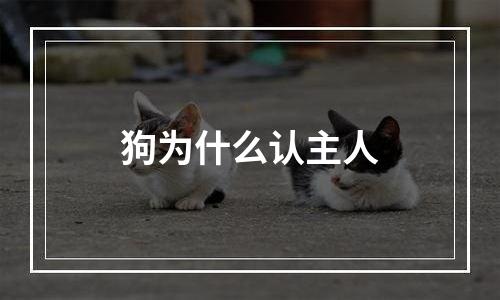 狗为什么认主人