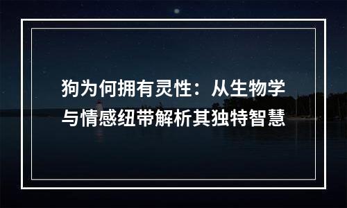 狗为何拥有灵性：从生物学与情感纽带解析其独特智慧