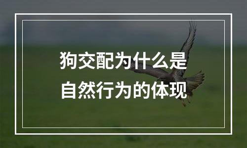 狗交配为什么是自然行为的体现
