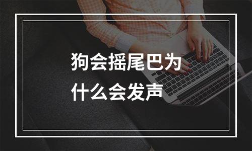 狗会摇尾巴为什么会发声