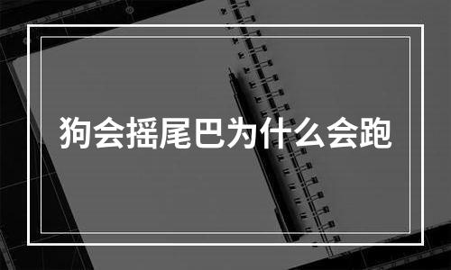 狗会摇尾巴为什么会跑