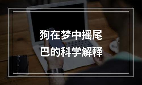 狗在梦中摇尾巴的科学解释