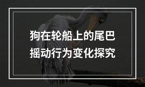 狗在轮船上的尾巴摇动行为变化探究