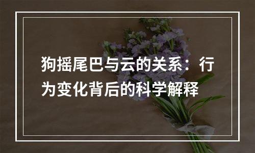狗摇尾巴与云的关系：行为变化背后的科学解释
