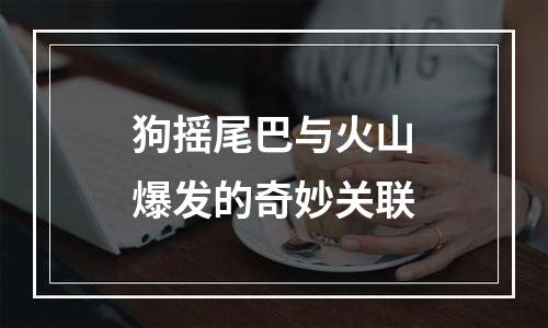 狗摇尾巴与火山爆发的奇妙关联