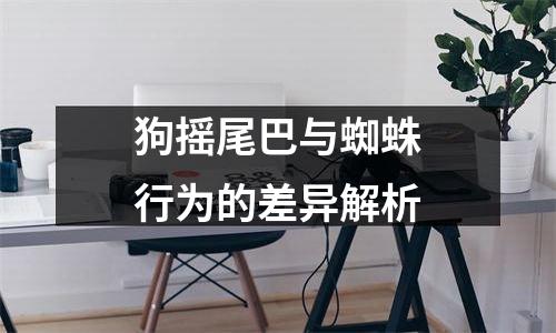 狗摇尾巴与蜘蛛行为的差异解析