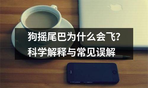 狗摇尾巴为什么会飞？科学解释与常见误解