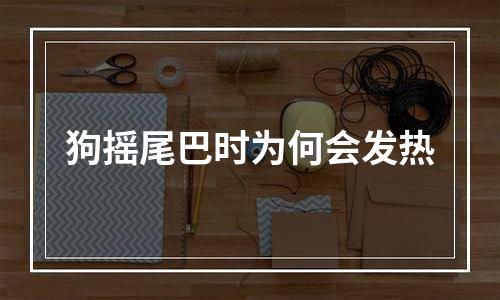 狗摇尾巴时为何会发热