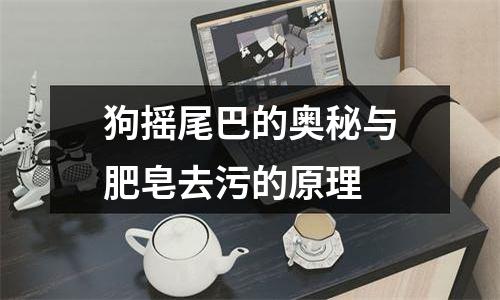 狗摇尾巴的奥秘与肥皂去污的原理
