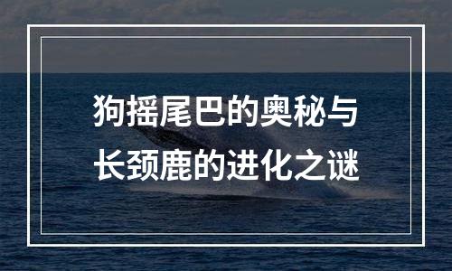 狗摇尾巴的奥秘与长颈鹿的进化之谜