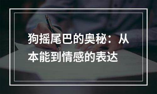 狗摇尾巴的奥秘：从本能到情感的表达