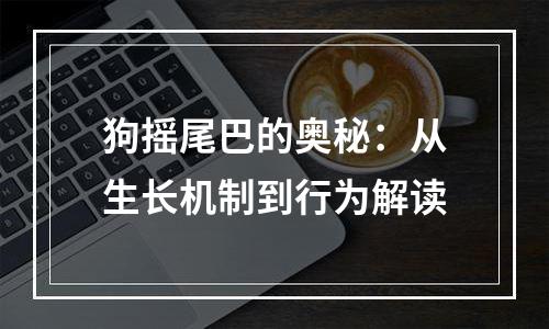 狗摇尾巴的奥秘：从生长机制到行为解读