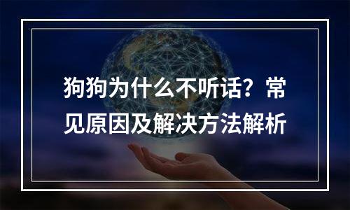 狗狗为什么不听话？常见原因及解决方法解析