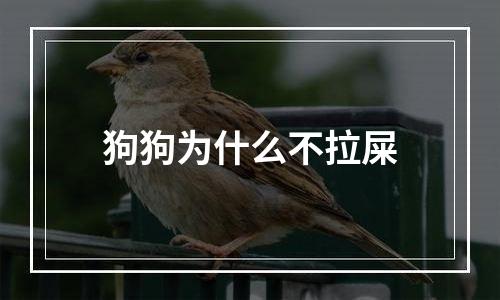 狗狗为什么不拉屎