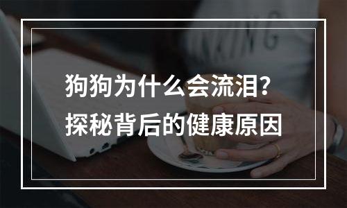 狗狗为什么会流泪？探秘背后的健康原因