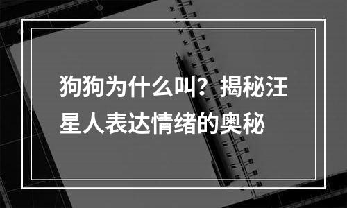 狗狗为什么叫？揭秘汪星人表达情绪的奥秘