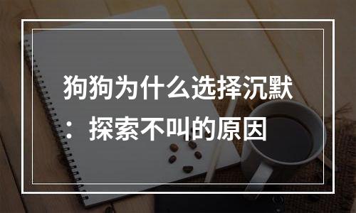 狗狗为什么选择沉默：探索不叫的原因