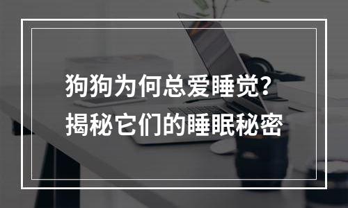 狗狗为何总爱睡觉？揭秘它们的睡眠秘密