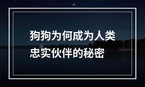 狗狗为何成为人类忠实伙伴的秘密