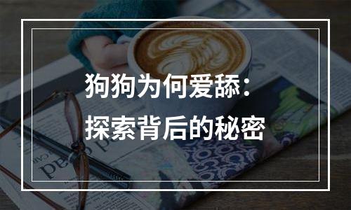 狗狗为何爱舔：探索背后的秘密