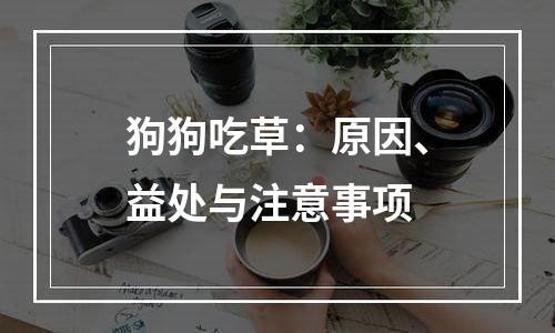 狗狗吃草：原因、益处与注意事项