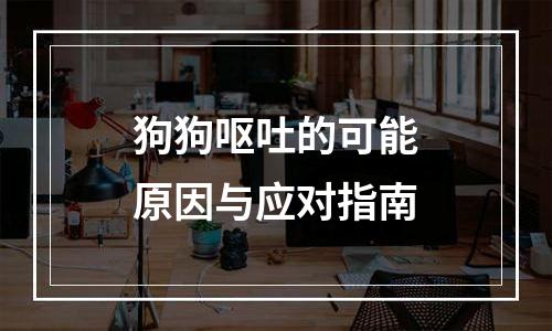 狗狗呕吐的可能原因与应对指南
