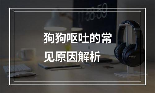 狗狗呕吐的常见原因解析