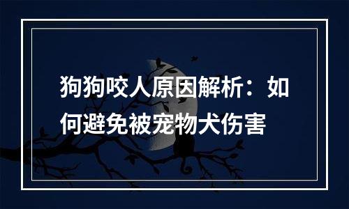 狗狗咬人原因解析：如何避免被宠物犬伤害
