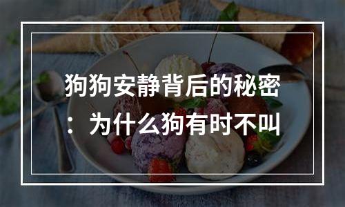 狗狗安静背后的秘密：为什么狗有时不叫