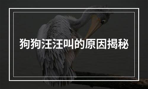 狗狗汪汪叫的原因揭秘