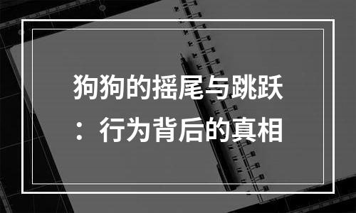 狗狗的摇尾与跳跃：行为背后的真相