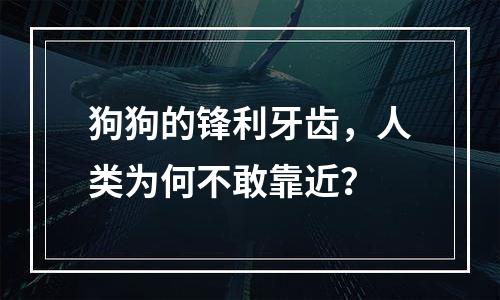 狗狗的锋利牙齿，人类为何不敢靠近？