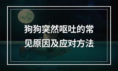 狗狗突然呕吐的常见原因及应对方法