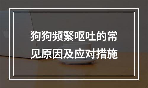 狗狗频繁呕吐的常见原因及应对措施