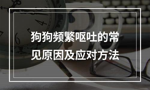 狗狗频繁呕吐的常见原因及应对方法