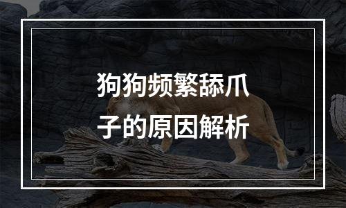 狗狗频繁舔爪子的原因解析