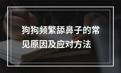 狗狗频繁舔鼻子的常见原因及应对方法