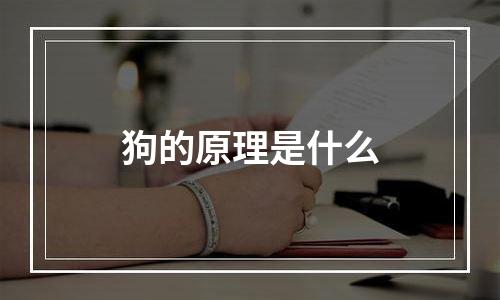 狗的原理是什么