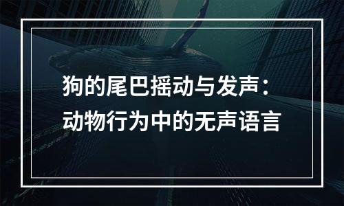 狗的尾巴摇动与发声：动物行为中的无声语言