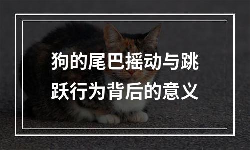狗的尾巴摇动与跳跃行为背后的意义