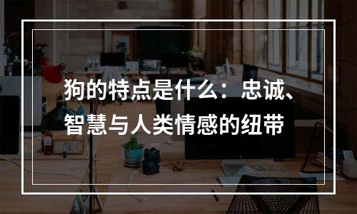 狗的特点是什么：忠诚、智慧与人类情感的纽带