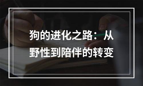 狗的进化之路：从野性到陪伴的转变