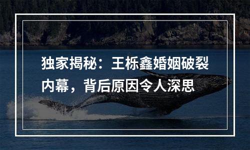 独家揭秘：王栎鑫婚姻破裂内幕，背后原因令人深思