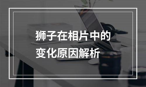 狮子在相片中的变化原因解析